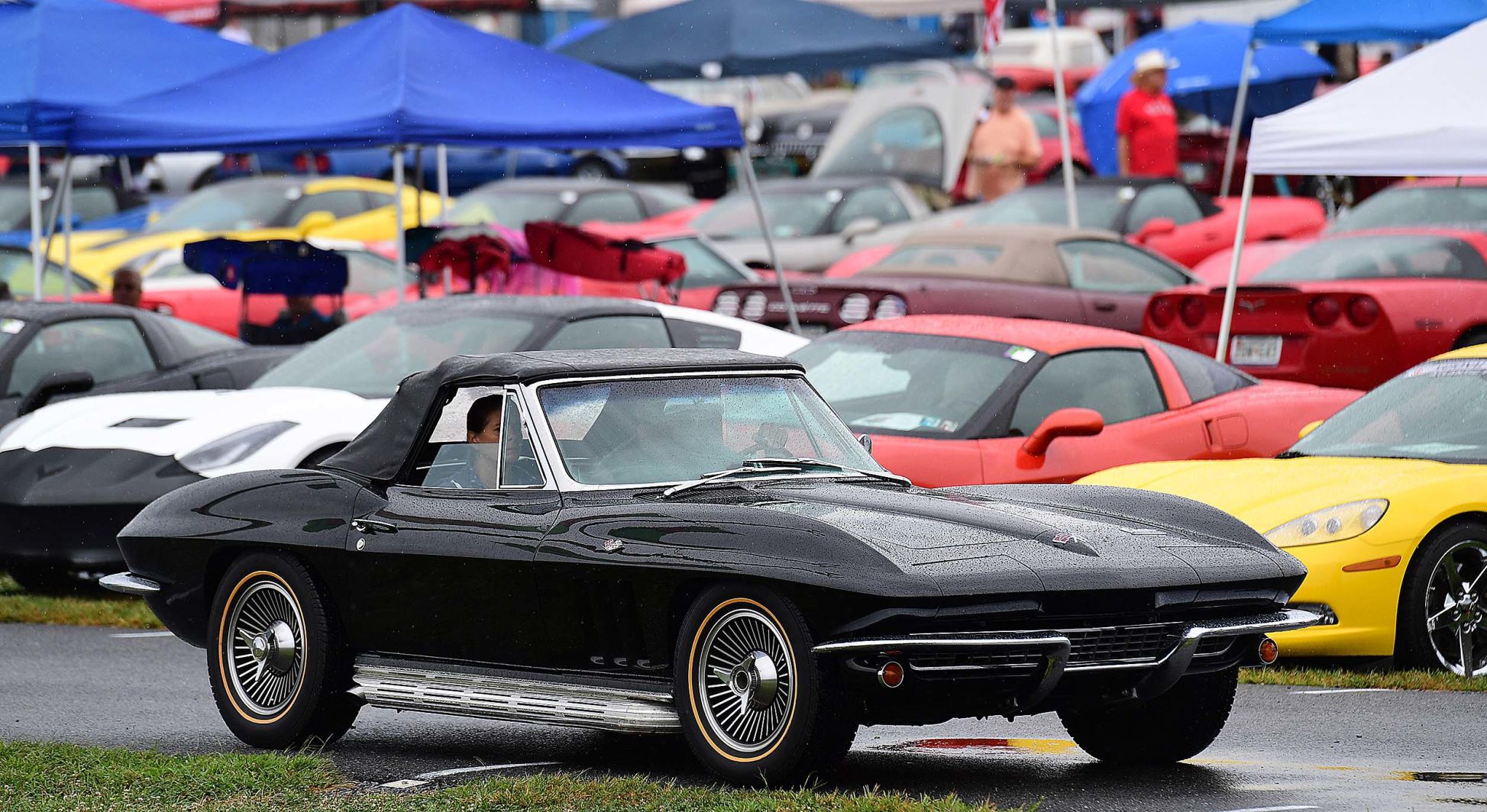 Corvettes at Carlisle 13